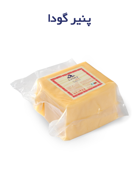 پنیر گودای طبیعی 3